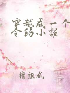 穿越成一个小县令的小说