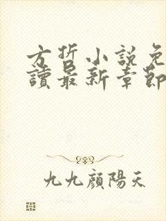 方哲小说免费阅读最新章节更新