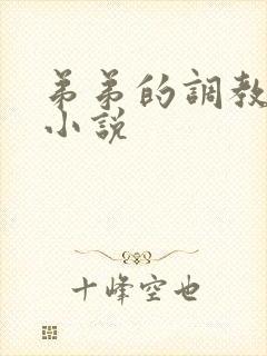 弟弟的调教日常小说