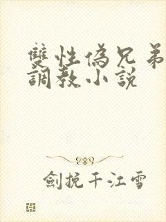 双性伪兄弟年上调教小说