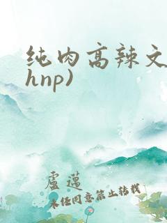 纯肉高辣文(高hnp)