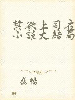 禁欲上司夜敲门小说大结局怎么样