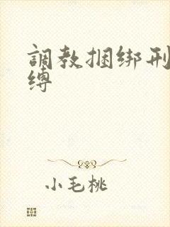 调教捆绑刑具束缚