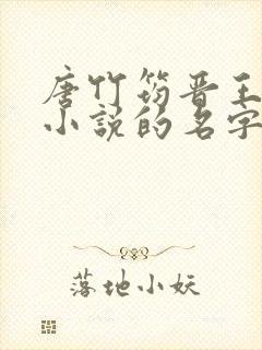 唐竹筠晋王穿越小说的名字