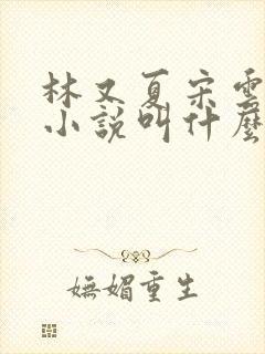 林又夏宋云深的小说叫什么名字