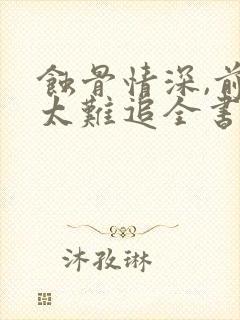 蚀骨情深,前妻太难追全书下载