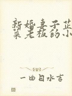 新婚妻子芷姗与菜老板的小说