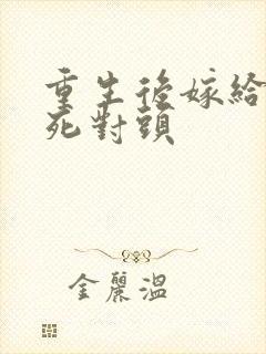 重生后嫁给前夫死对头