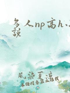 多人np高h小说