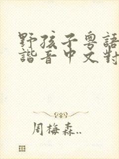 野孩子粤语歌词谐音中文对照