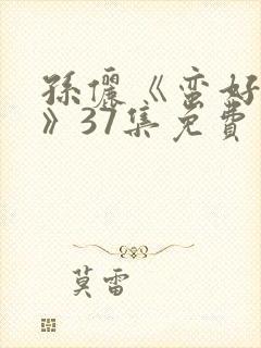 孙俪《蛮好人生》37集免费观看