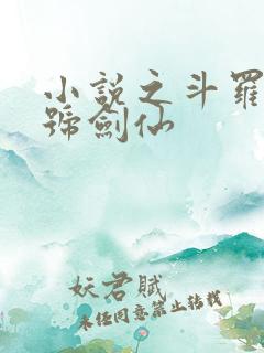 小说之斗罗之封号剑仙