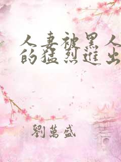 人妻被黑人粗大的猛烈进出