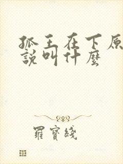 孤王在下原著小说叫什么
