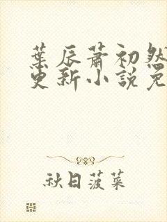 叶辰萧初然最新更新小说免费阅读