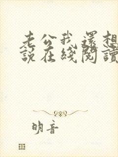 老公我还想要小说在线阅读