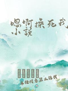 嗯啊操死我好爽小说