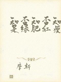 知否知否知否应是绿肥红瘦电视剧免费