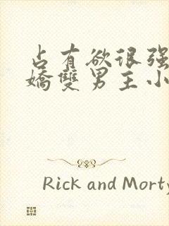 占有欲很强的病娇双男主小说