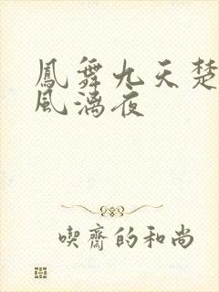 凤舞九天楚倾歌风漓夜