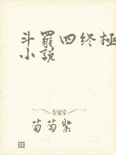 斗罗四终极斗罗小说
