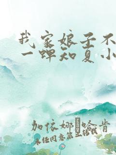 我家娘子不对劲一蝉知夏小说全篇