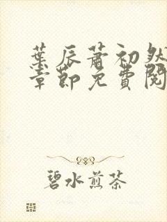 叶辰萧初然全集章节免费阅读无弹窗小说