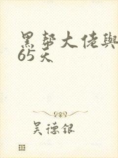 黑帮大佬与我365天