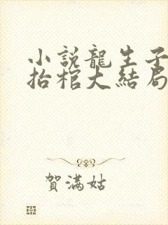 小说龙生子之鬼抬棺大结局