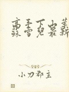 高手下山叶君临苏雪儿最新章节