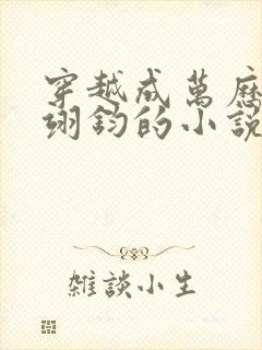 穿越成万历帝朱翊钧的小说