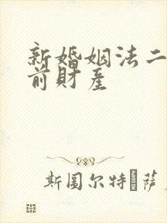 新婚姻法二婚婚前财产