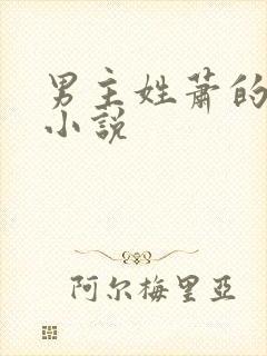 男主姓萧的古代小说