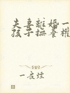 夫妻离婚一个男孩子抚养权怎么判定