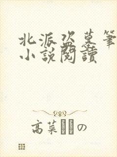 北派盗墓笔记 小说阅读