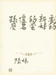 孙俪的新剧叫什么名蛮好的人生