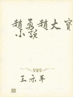 赵勇赵大宝苏媚 小说