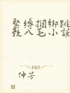紧缚捆绑跳蛋调教八毛小说