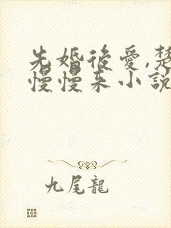 先婚后爱,楚少慢慢来小说下载