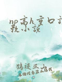 np高h重口调教小说