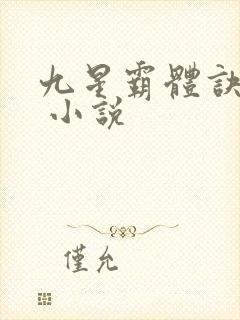 九星霸体诀龙尘 小说