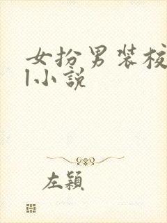 女扮男装校园gl小说