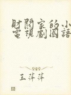 财阀家的小儿子电视剧国语免费观看