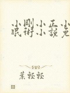 小刚小正小柔催眠术小说免费阅读