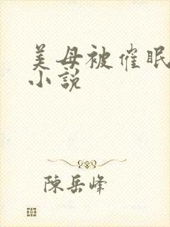 美母被催眠洗脑小说