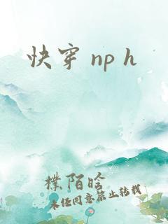 快穿 np h