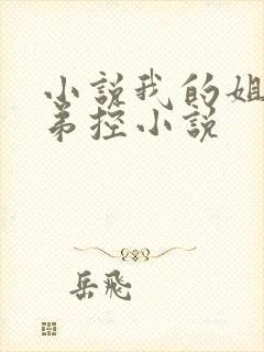 小说我的姐姐很弟控小说