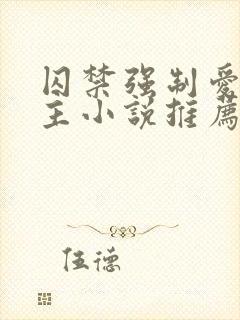 囚禁强制爱双男主小说推荐