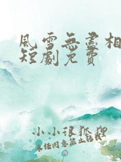 风雪无尽相思情短剧免费