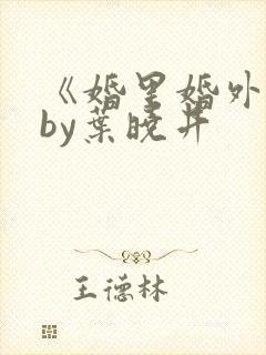 《婚里婚外》 by叶晓井